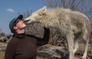 Jessica getting her nose examined by a wolf puppy.
